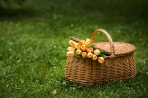 beautiful eco-friendly flower baske on the ground with flower