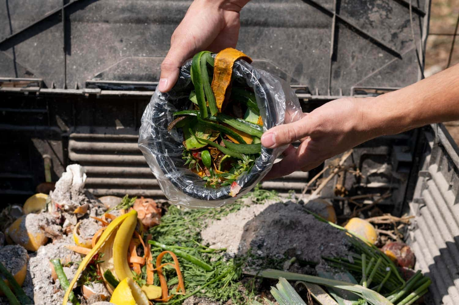 compost kitchen waste at home-vegetables scraps putting in compost bin