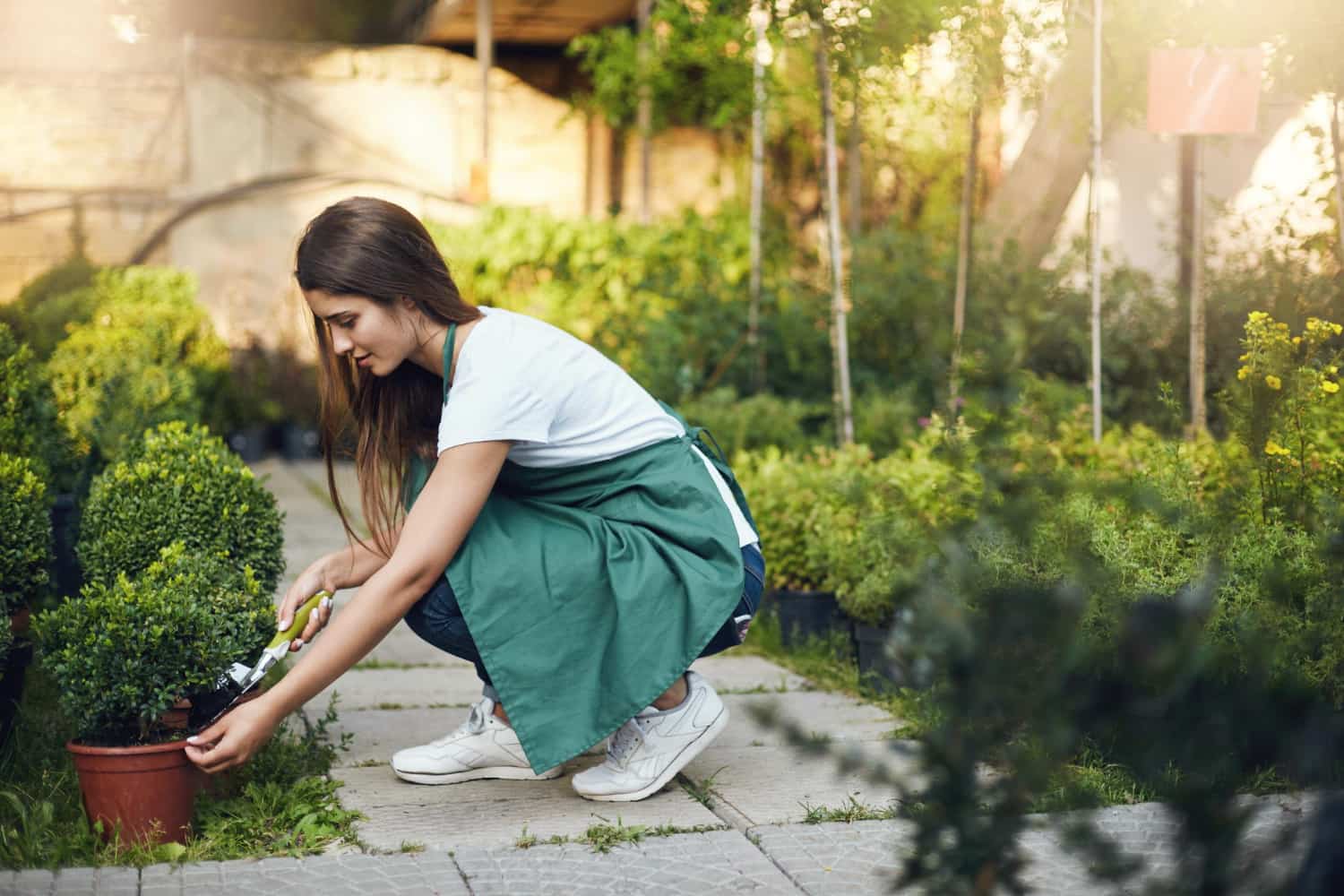 a woman maintaining garden stuffing compost in plants