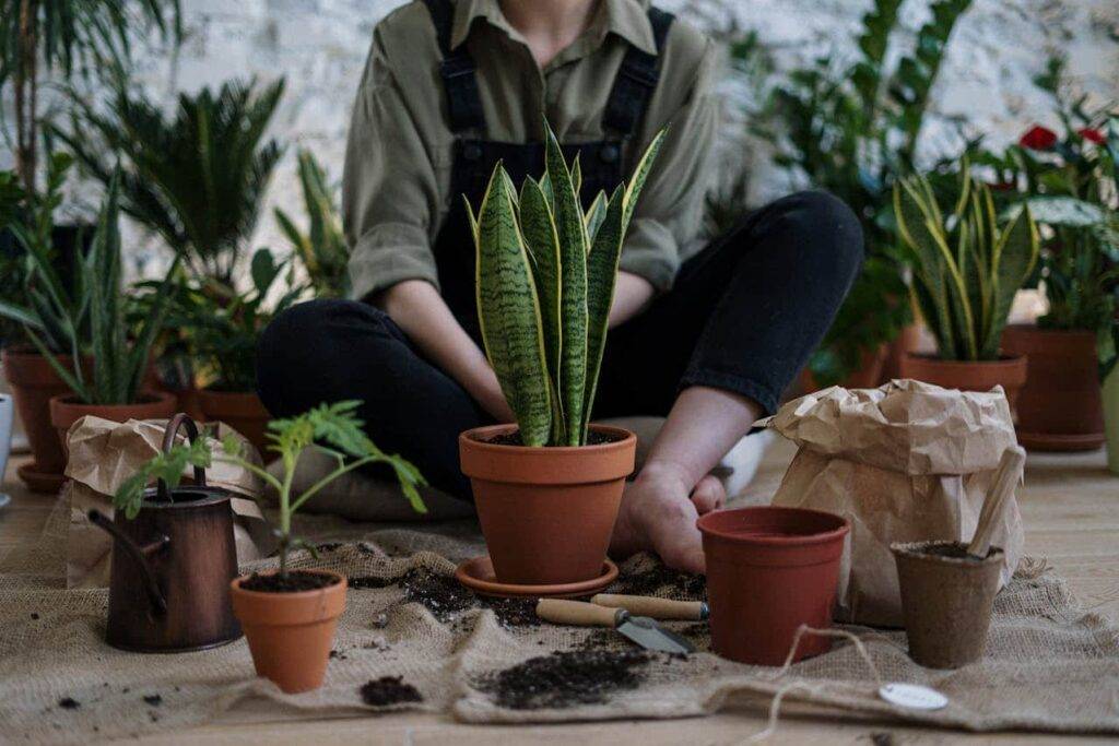 create your own garden women putting compost and plant in flower pot