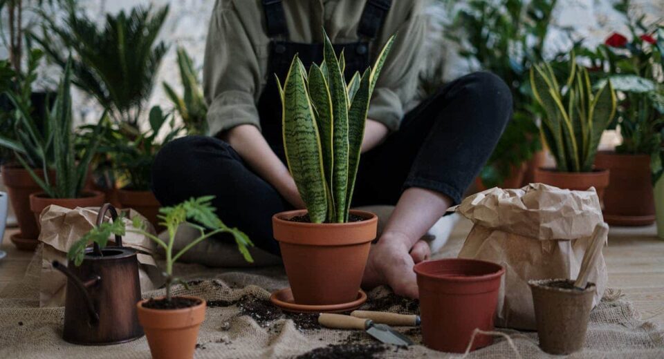 create your own garden women putting compost and plant in flower pot