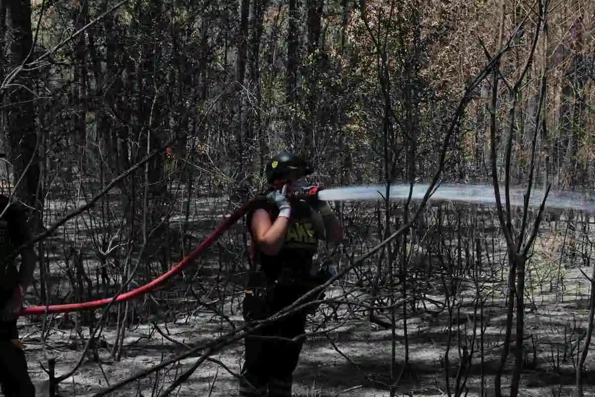 fireman extinguishing fire in the forest