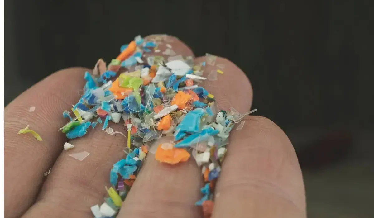 microplastic in our food and water- man holding plastic particles