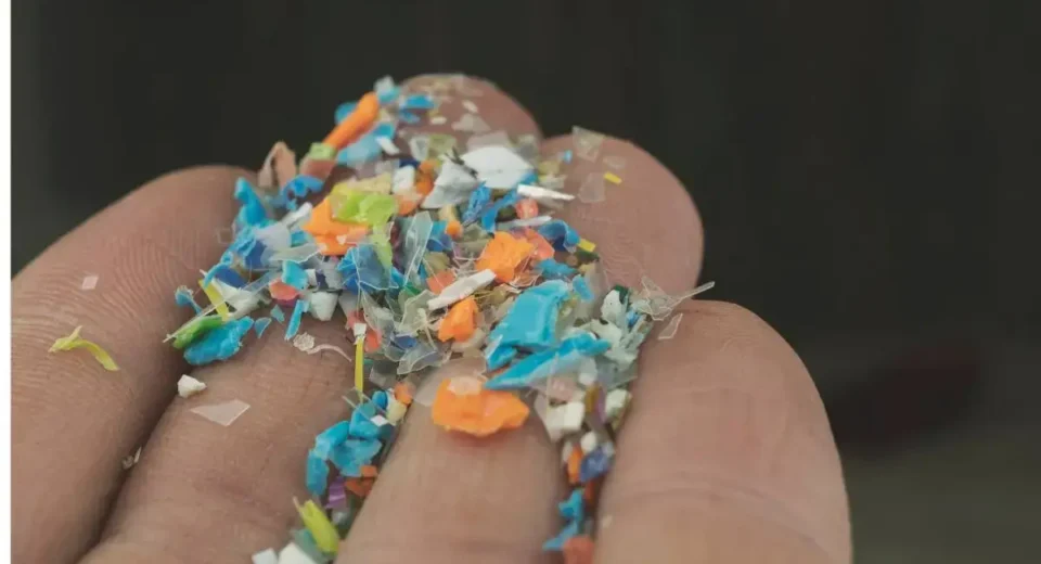 microplastic in our food and water- man holding plastic particles