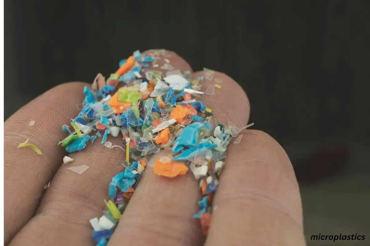 microplastic in our food and water- man holding plastic particles