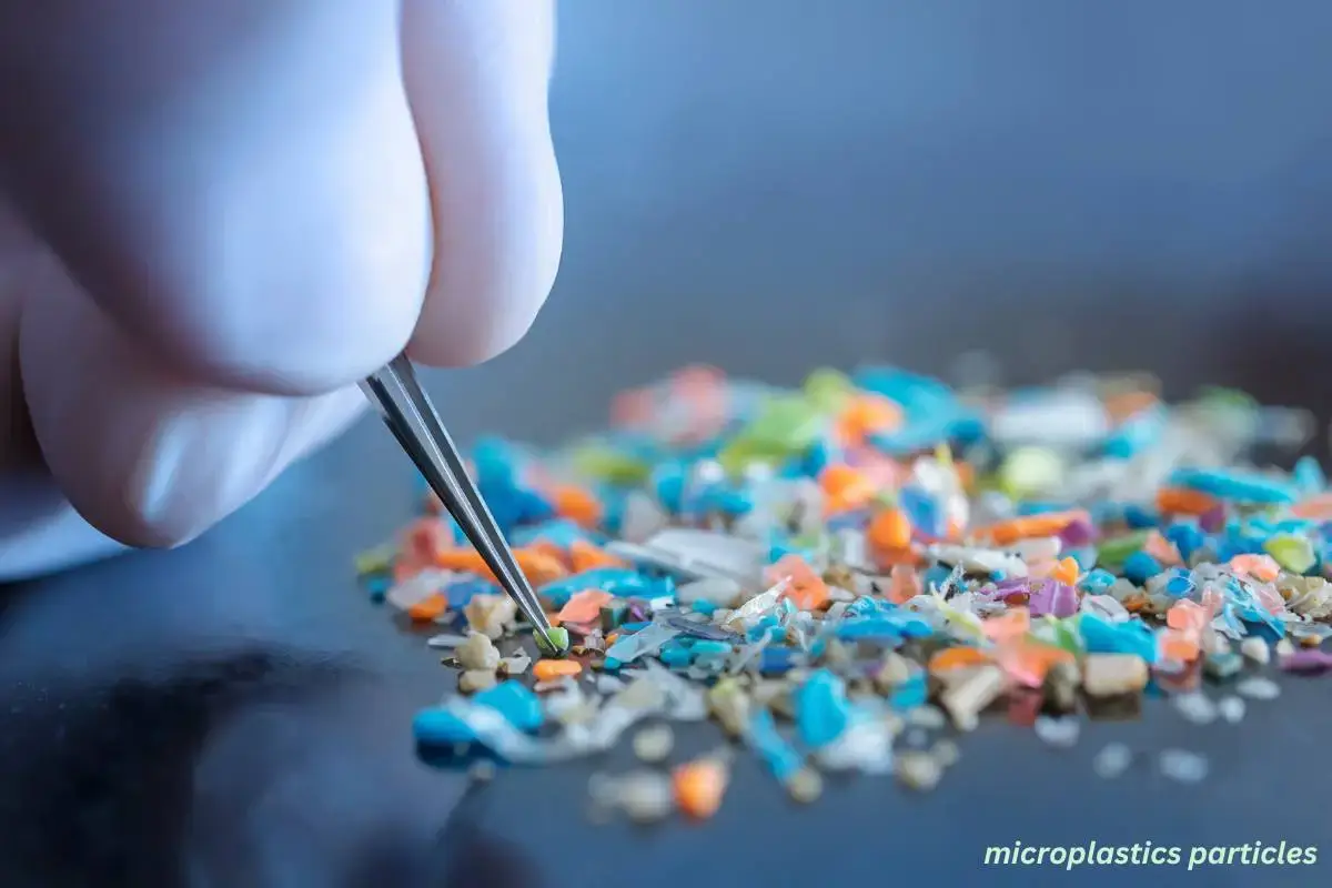 Microplastic particles-what is it?