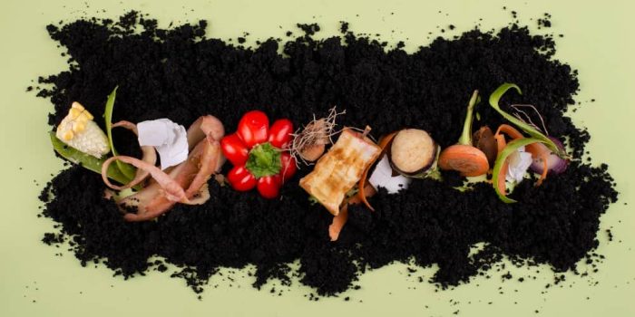 compost with vegetables and fruits scraps